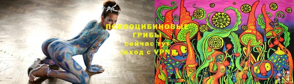 ECSTASY Горно-Алтайск