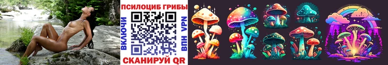площадка официальный сайт купить цена Чухлома Галлюциногенные грибы Psilocybe